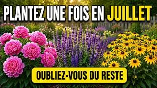 Miniature : Jardinier paresseux ? Plantez ces 9 vivaces en juillet (et oubliez-les à vie !)