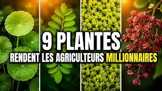 Miniature : 9 plantes incroyablement rentables que personne ne cultive : devenez riche !