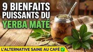 Miniature : Cette Plante Surpuissante Boostera Ta Santé !
