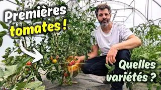 Miniature : Les tomates sont déjà là ! Grand tour du jardin début juin