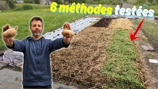 Miniature : J’ai planté 150 pommes de terre pour départager 6 méthodes de culture !