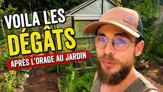 Miniature : Le potager a pris cher... Tour du jardin mi-juillet