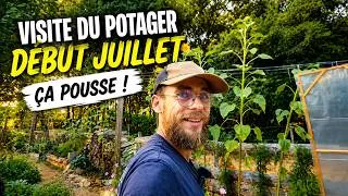 Miniature : Tour du Potager début juillet !