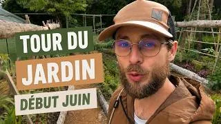 Miniature : Tour du Potager Début Juin 2026