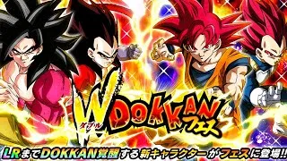 Miniature : 24 LR en 1000 ds - GROS BRAQUAGE  - INVOCATIONS  7 ans dokkan battle