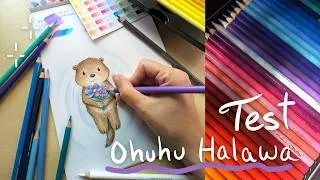 Miniature : J’ai testé les crayons Ohuhu Halawa 🎨✨ | Honnest review