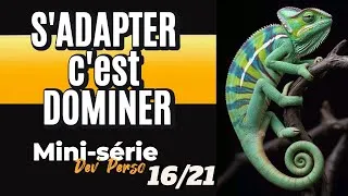 Miniature : S'ADAPTER C'EST DOMINER... Mini-Série Dev' Perso 16/21