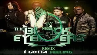 Miniature : Black Eyed Peas I Gotta Feeling (Remix Jay Nessus)