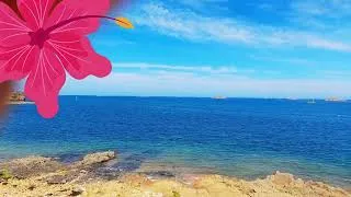 Miniature : 😲 Le secret le mieux gardé de Bretagne? Direction la plage de TAHITI!🌊✨