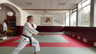 Miniature : Karate  Kanku Daï