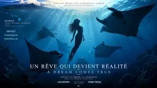 Miniature : Une rencontre inoubliable / An Unforgettable Encounter