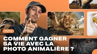Miniature : Comment GAGNER sa VIE avec la PHOTO animalière ? Je t'explique TOUT !