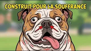 Miniature : Pourquoi les humains continuent-ils à créer des animaux difformes ?