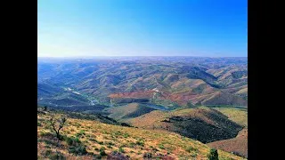 Miniature : CÔA, La rivière aux mille gravures (2006)