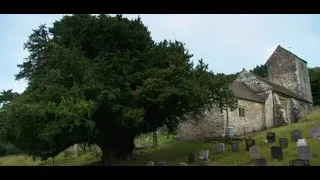 Miniature : L'If, aux frontières de la vie (2010)