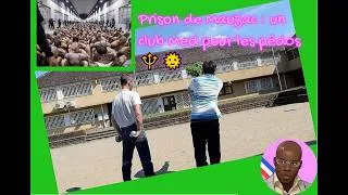 Miniature : Prison de Mauzac pour des péd0s qui se dorent la pilule au soleil en faisant qq parties de pétanque