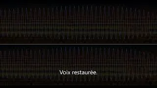 Miniature : Restauration d'une voix.