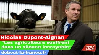 Miniature : "Les agriculteurs souffrent dans un silence incroyable" Nicolas Dupont-Aignan Public Sénat 01/24