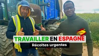 Miniature : Espagne 🇪🇸 cherche urgemment des travailleurs étrangers en Agriculture sans condition...