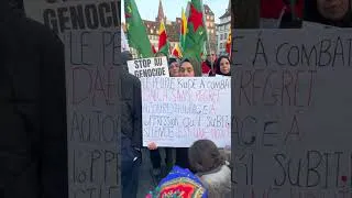 Miniature : Rojava: solidarité LFI