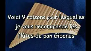 Miniature : Voici 9 raisons pour lesquelles Jean-Claude Welche vous recommande les flûtes de pan Gibonus
