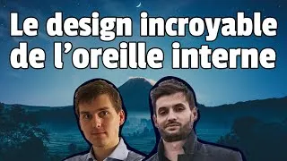 Miniature : Le design incroyable de l'oreille interne ! 😱😱