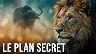 Miniature : Le plan secret des lions face aux proies géantes