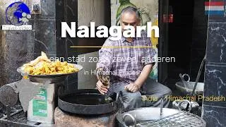 Miniature : Nalagarh • Dagelijks leven en tradities in Noord-India