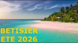 Miniature : BETISIER ETE 2026