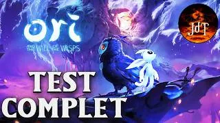Miniature : ORI and the WILL of the WISPS : test complet d'une MERVEILLE