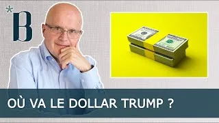 Miniature : Où va le dollar Trump ?