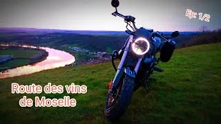 Miniature : road-trip moto: route des vins de Moselle