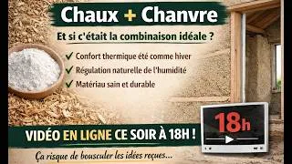 Miniature : Chaux et chanvre : et si c’était la combinaison idéale ?