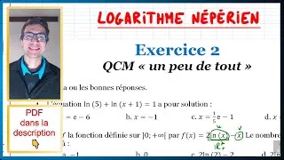 Miniature : 📝PDF | EXO TYPE DS 2 | Logarithme népérien