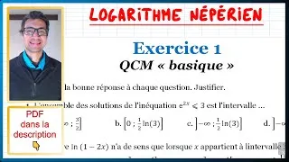 Miniature : 📝PDF | EXO TYPE DS 1 | Logarithme népérien