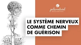 Miniature : Le SYSTÈME NERVEUX comme chemin de guérison