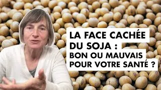 Miniature : La face cachée du SOJA : bon ou mauvais pour votre santé ? @jeclicnaturel
