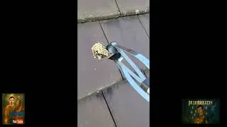 Miniature : Invasion de guêpes sous ma toiture : comment j'ai tout géré moi-même - 2026 - Partie 01.