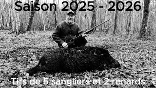 Miniature : Saison 2025 - 2026 / Tirs de 5 sangliers dont un doublé et un gros mâle en Sologne