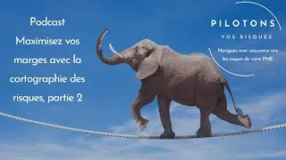 Miniature : Maximisez vos marges avec la cartographie des risques - partie 2