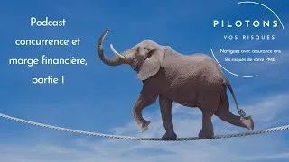 Miniature : Concurrence et marge financière - partie 1