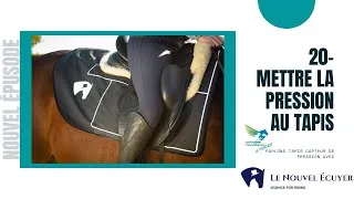 Miniature : 20- mettre la pression au tapis- le nouvel ecuyer