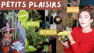 Miniature : Nouvelles plantes, joie et mimosa !