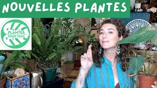 Miniature : HAUL PLANTES & Emmaüs je vous emmène avec moi !