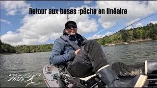 Miniature : Pêche du bar en linéaire, premier beau poisson de la saison  ! 🎣