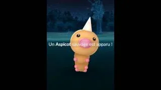 Miniature : Pokemon GO #2 Balade Nocturne Objectif Carapuce