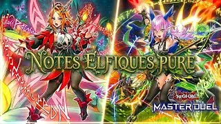 Miniature : COMMENT JOUER LE DECK NOTES ELFIQUES VERSION PURE SUR MASTER DUEL