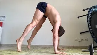 Miniature : CHIEN TÊTE EN BAS GAINAGE