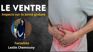 Miniature : Le ventre et son influence sur la santé globale