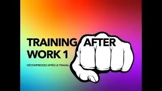 Miniature : Training after work 1